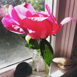 Meet your Posher, Rochelle